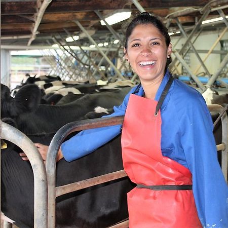 Tokatoka Views Farmstay Ruawai المظهر الخارجي الصورة